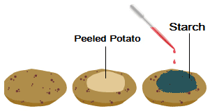 1. Test for Starch