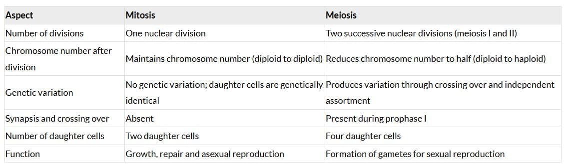 NCERT Solutions: Cell Cycle & Cell Division