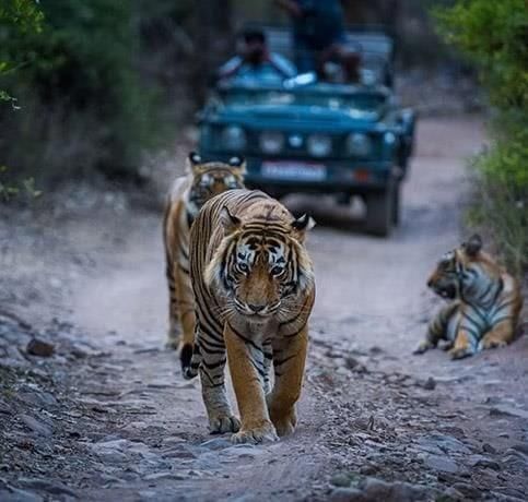 Environment and Ecology (Part 2): July 2025 UPSC Current Affairs | Environment for UPSC CSE