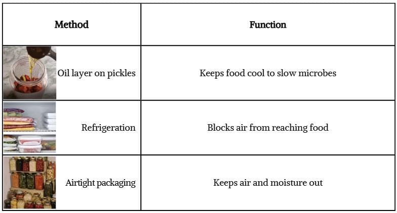 Unit Test (Solutions): The Mystery of Food | Our Wondrous World  Class 5 - New NCERT