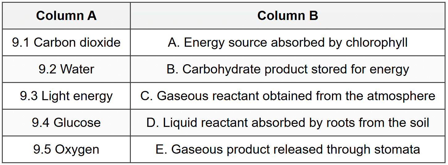 A3: Match Column A to Column B