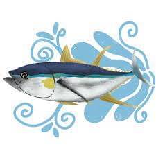 Worksheet: The Fish Tale - 1