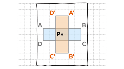 Rotation - Year 7