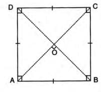 Rectilinear Figures Chapter Notes | Mathematics Class 9 ICSE
