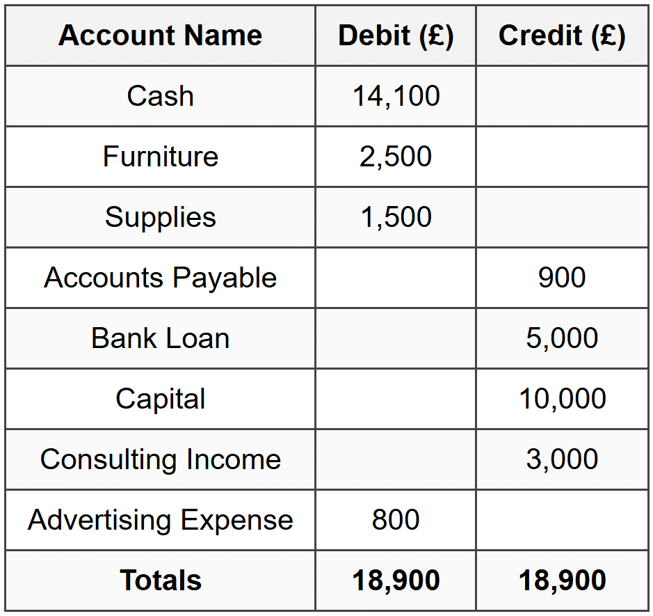 The Trial Balance: Checking Your Work