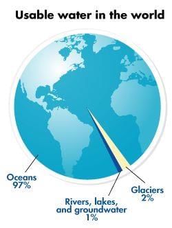 Case Based Questions: Landforms and Life | Social Studies for Class 6