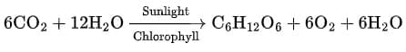 Class 10 Science Chapter 1 Previous Year Questions - Chemical Reactions and Equations