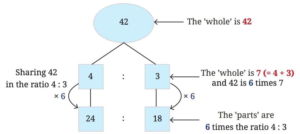 Proportional Reasoning-1 Chapter Notes | Mathematics Class 8- New NCERT (Ganita Prakash)