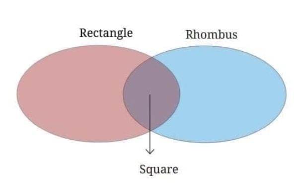 Important Formulas: Quadrilaterals | Mathematics Class 8- New NCERT (Ganita Prakash)