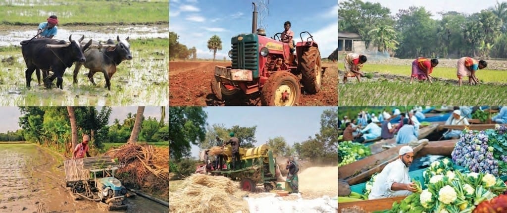 Chapter Notes: The Story of Indian Farming