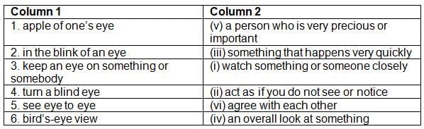 Magnifying Glass NCERT Solutions | English Poorvi Class 8 - New NCERT