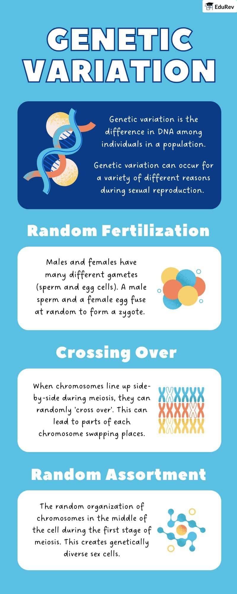 Infographics: Genetic Variation | Biology Class 12 - NEET