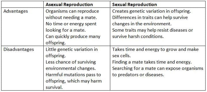 Types of Reproduction Chapter Notes | Science for Grade 6