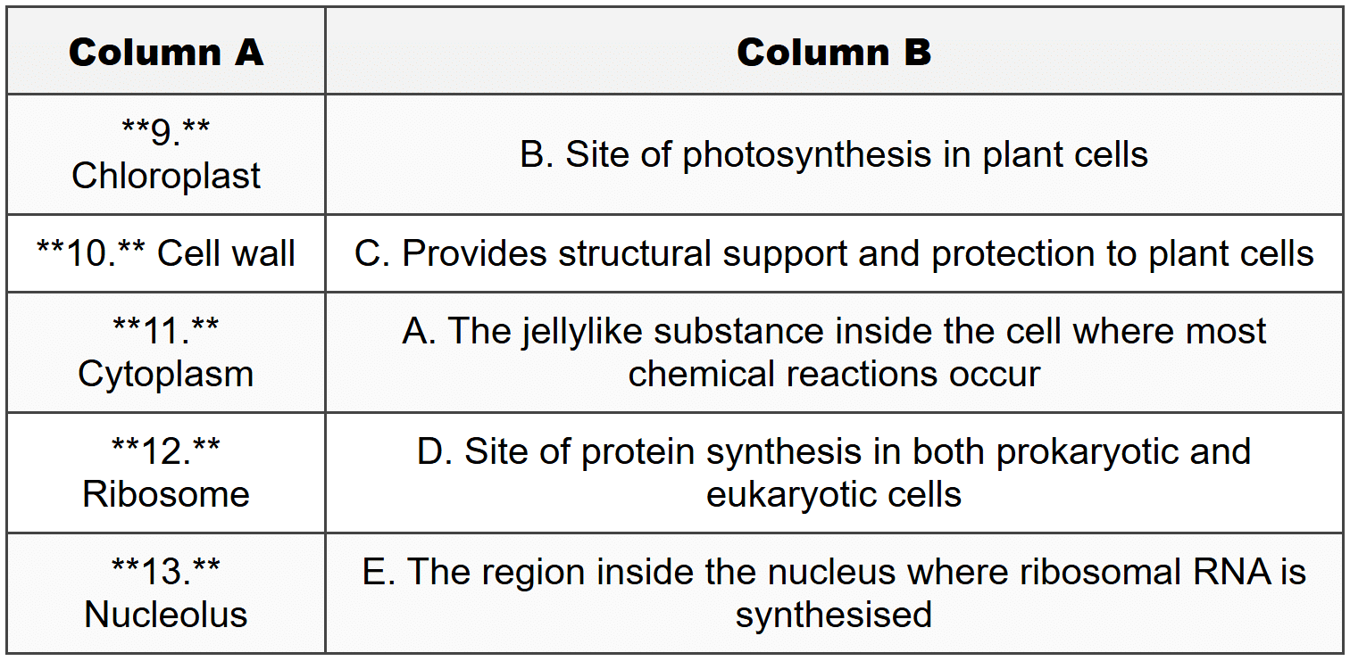 Cells: the Basic Units of Life