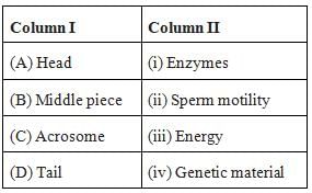 Gametogenesis: Spermatogenesis and Oogenesis | Biology Class 12 - NEET