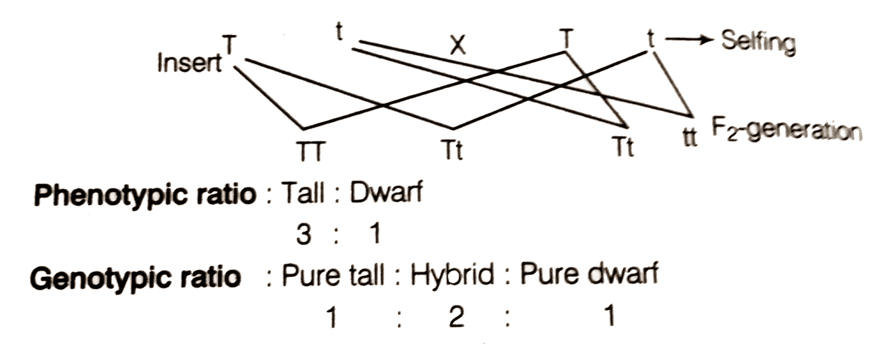 Previous Year Questions 2025