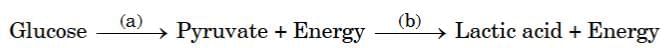 Class 10 Science Chapter 5 Previous Year Questions - Life Processes