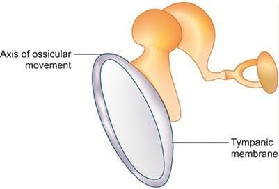 Step-Up Phenomenon of Middle Ear