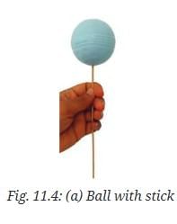 NCERT Based Activity: Keeping Time with the Skies | Science Curiosity Class 8 -  New NCERT