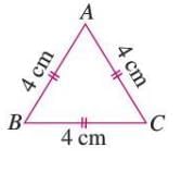 Triangles and Quadrilaterals Chapter Notes | Mathematics Class 6 ICSE