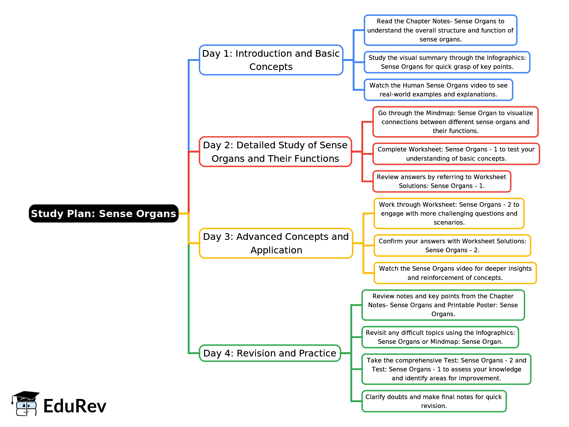 4-Days Study Plan: Sense Organs | EVS for Class 1