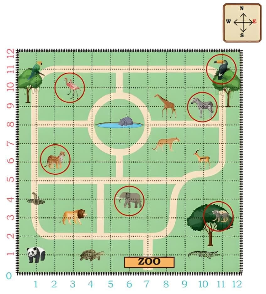 Locating the Animals in the Zoological Park (Zoo)