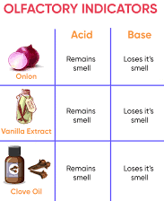 Categories of Bases 