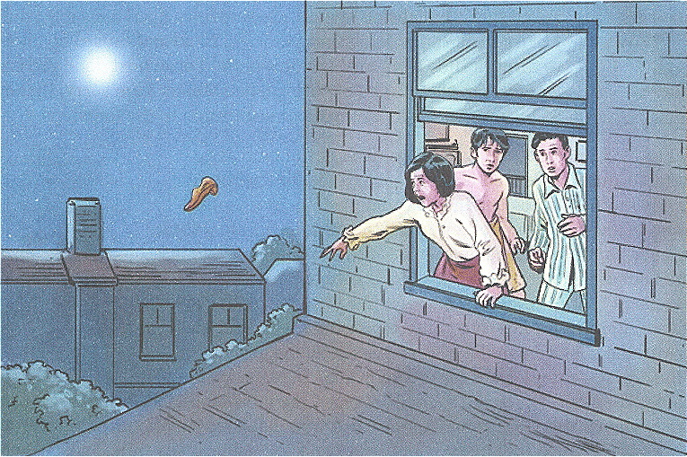 The Night the Ghost Got In Chapter Notes | Gul Mohar Class 8