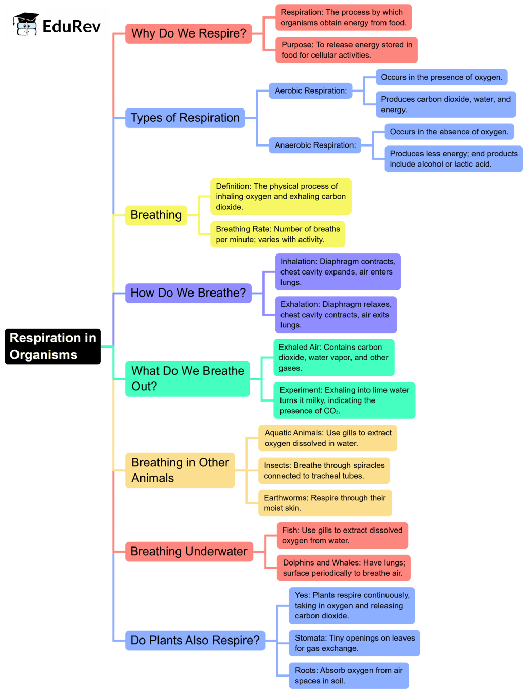 Mindmap: Respiration in Organisms | Science Class 7 (Old NCERT)
