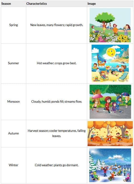 Unit Test (Solutions): Rhythms of Nature | Our Wondrous World  Class 5 - New NCERT
