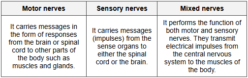 Ans: the following in detail