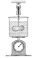 Chapter Notes, - Fluid Mechanics, Class 11, Physics (IIT-JEE & AIPMT)