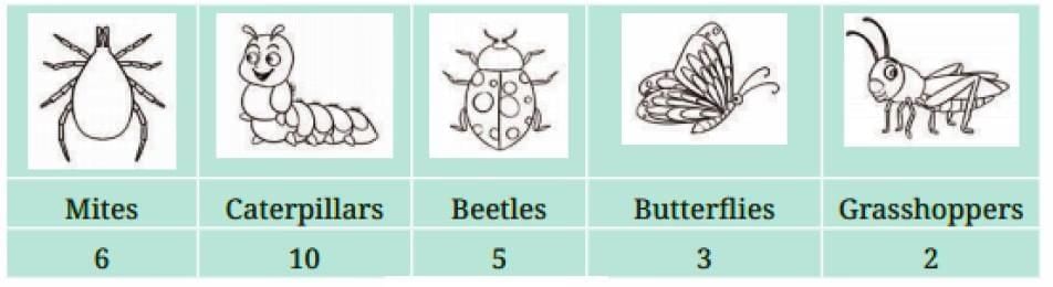 Unit Test: Data Handling and Presentation | Mathematics for Class 6