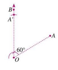 Symmetry, Reflection, and Rotation Chapter Notes | Mathematics Class 7 ICSE