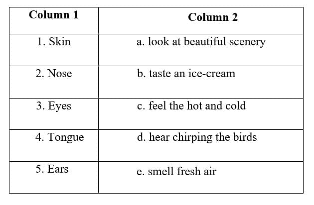 Sense Organs - 2 Class 1 Worksheet EVS