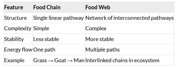 NCERT Solutions: Ecosystem