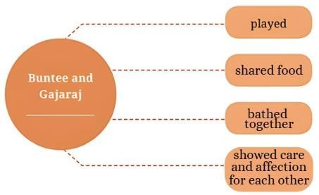 The Unlikely Best Friends NCERT Solutions | English for Class 6