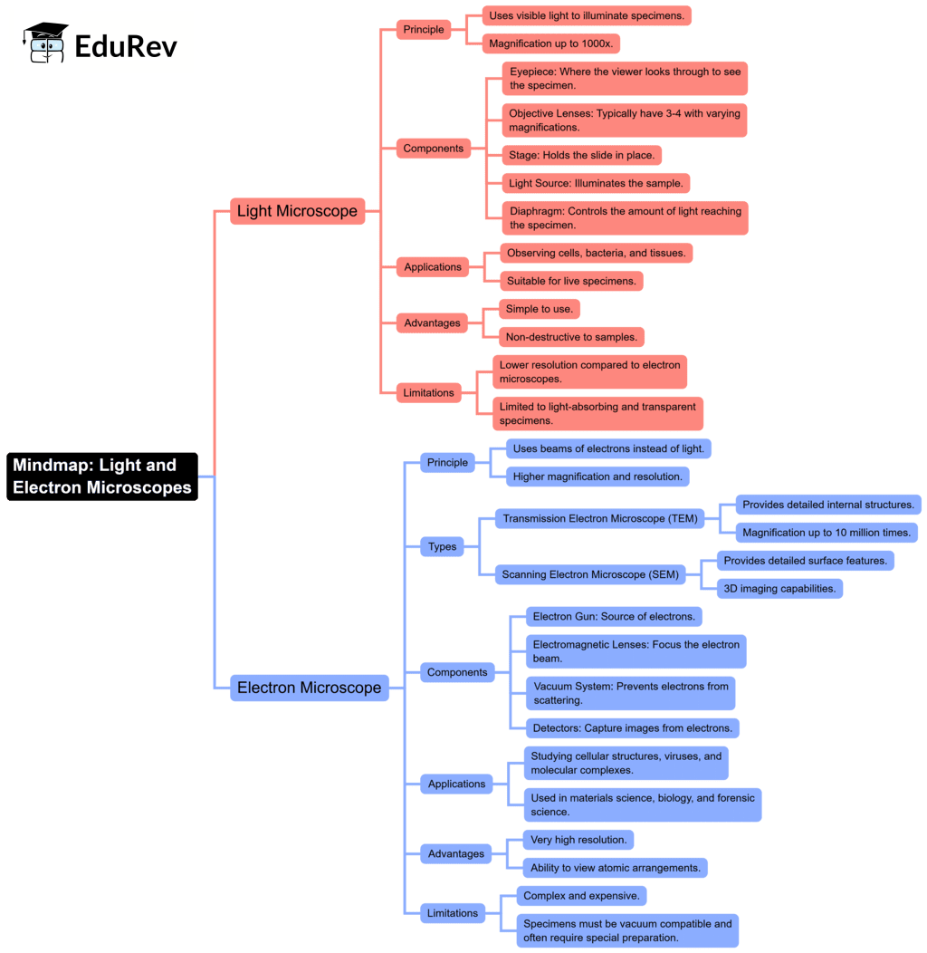 Mind Map: Elementary and Composite Particles | Physics for EmSAT Achieve