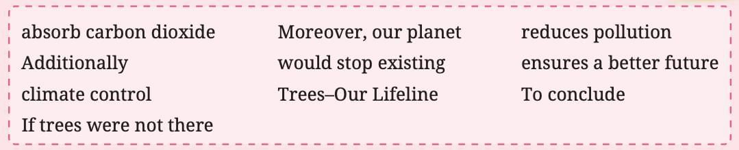 The Cherry Tree NCERT Solutions | English Poorvi Class 8 - New NCERT