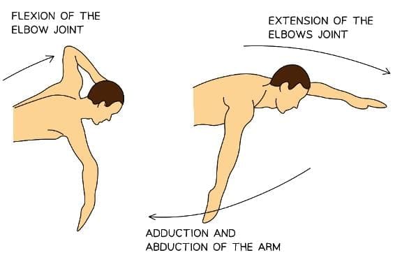 Front Crawl Swimming Movement Diagram
