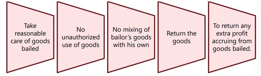 Unit 8 Bailment and Pledge Chapter Notes - Business Laws for CA Foundation