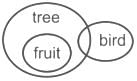 Tips and Tricks for Syllogism | Logical Reasoning (LR) and Data Interpretation (DI) - CAT