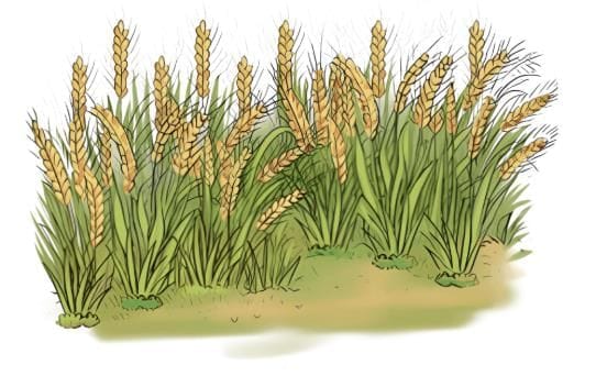 Let us explore (Page 96)