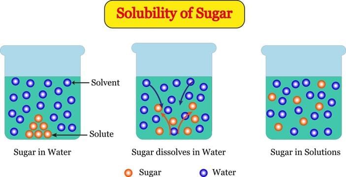 Unit Test Solutions: Particulate Nature of Matter | Science Curiosity Class 8 -  New NCERT