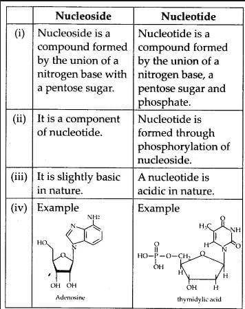 Biomolecules & Its Types | Biology Class 11 - NEET