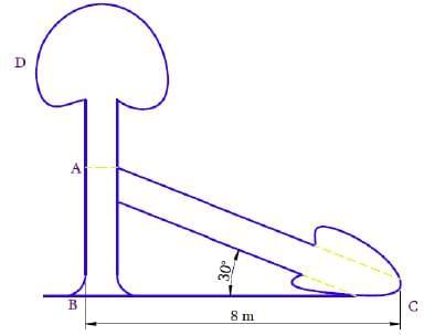 NCERT Solutions for Class 10 Maths Chapter 9 - Some Applications of Trigonometry (Exercise 9.1)