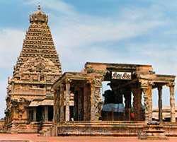 South India and the Cholas Chapter Notes | History Class 9 ICSE