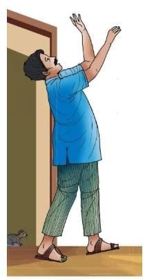 Worksheet Solutions: दो गौरैया | Worksheets with Solutions for Class 8