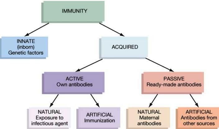 Immunity Chapter Notes | Microbiology - NEET PG