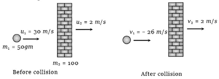 Collisions | Physics Class 11 - NEET